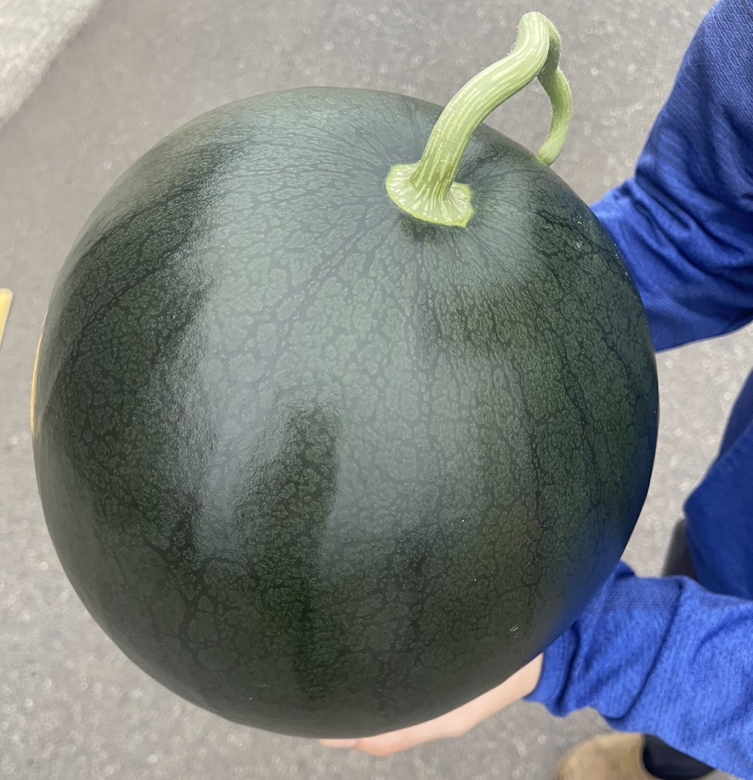 げん喜玉すいか8-10kgが品薄になっております🙇