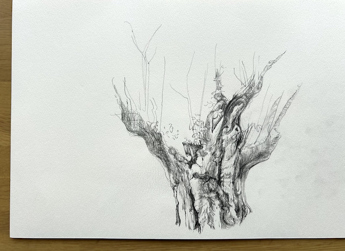 ChomoChomo　白山　取材記録