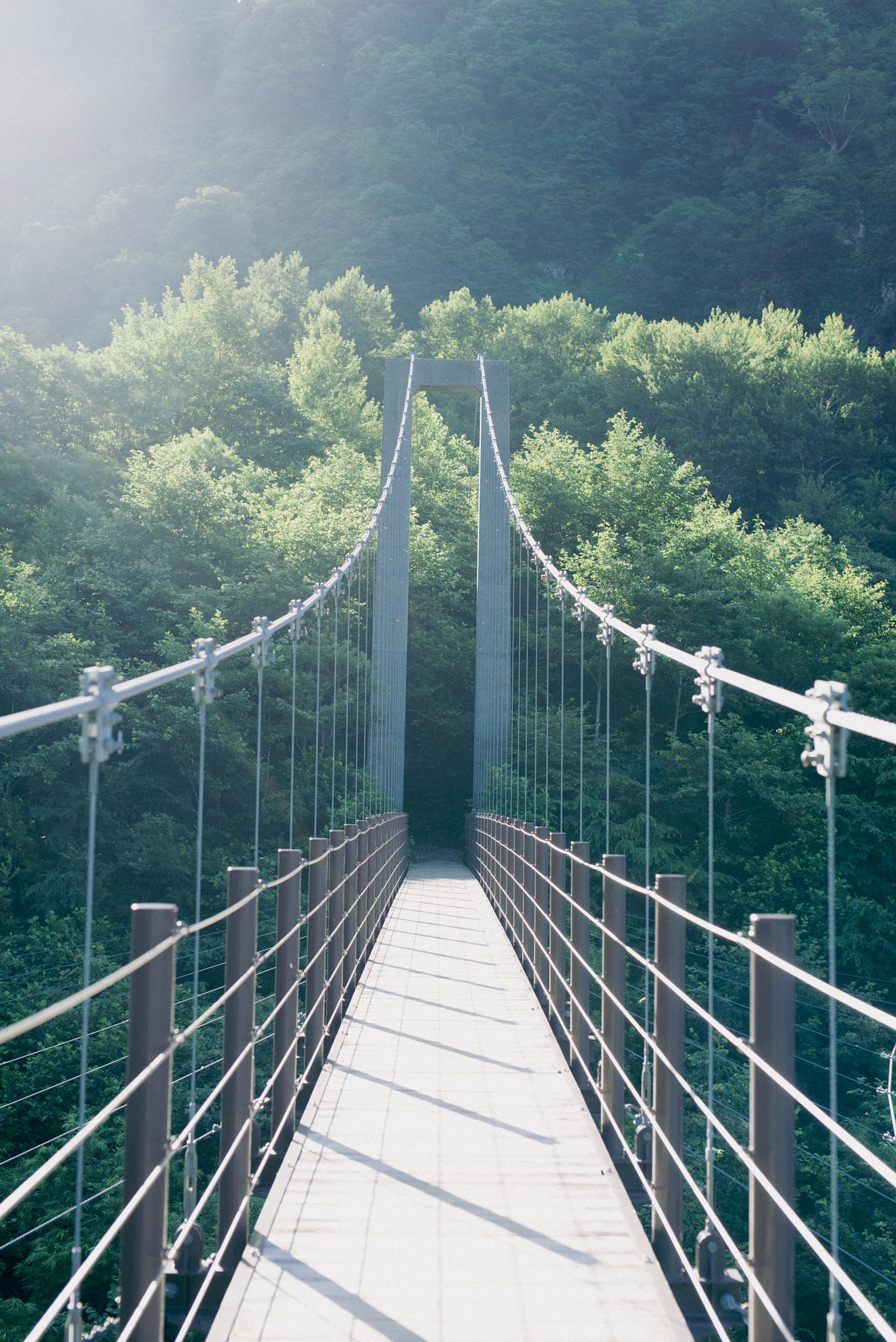 野川かさね　白山　取材記録06