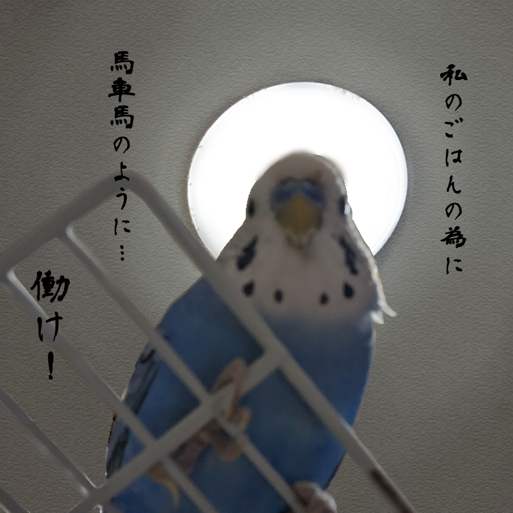 古くからの友人の嬉しい報告♪