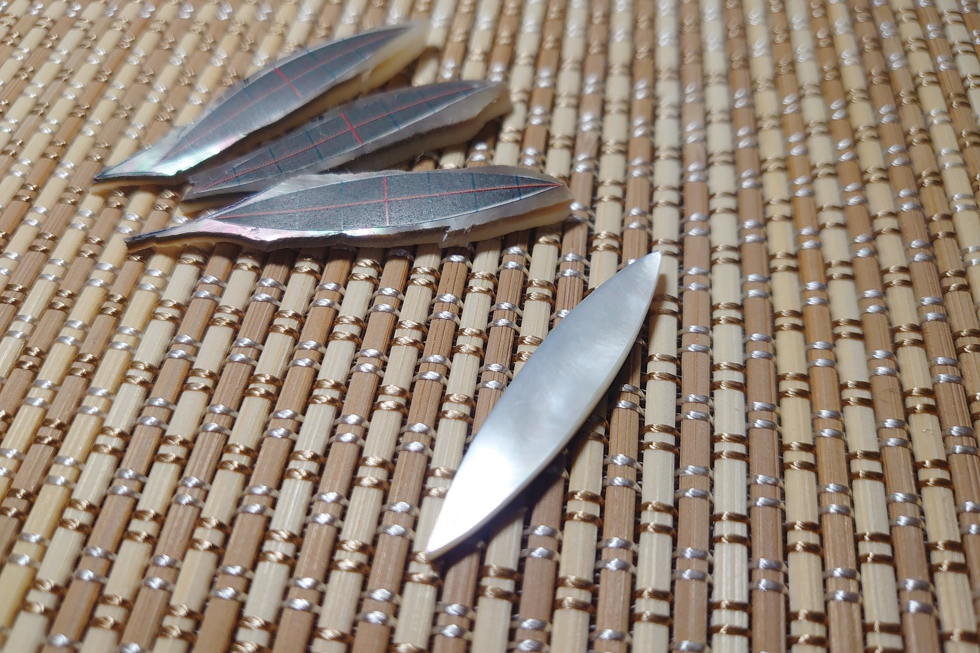 【貝の輝き 小話】