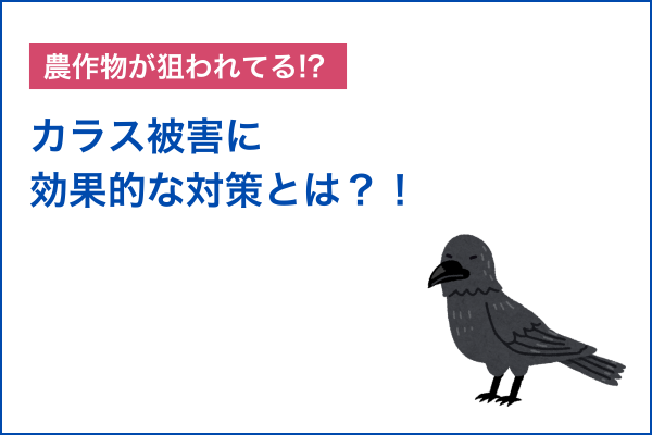 農作物が狙われてる!? 効果的な対策とは？！