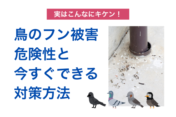 鳥のフン被害の危険性と、今すぐできる対策方法！