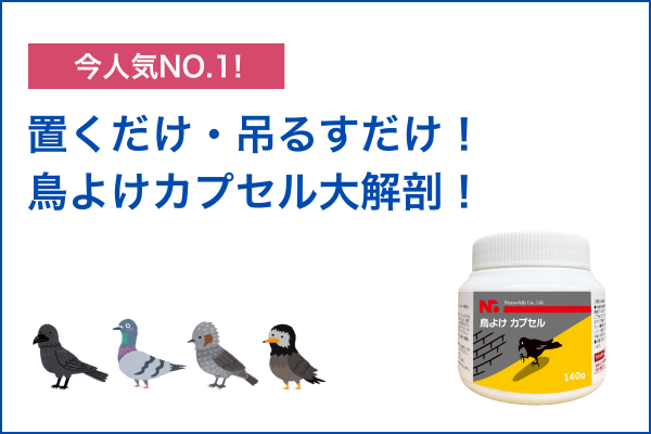 大人気カプセルタイプを徹底解剖！