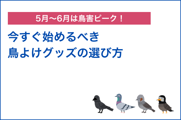 5月〜6月は鳥害ピーク！今すぐ始めるべき鳥よけグッズの選び方