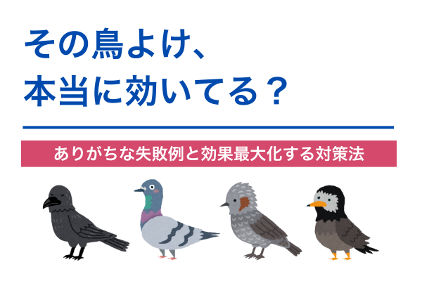 その鳥よけ、本当に効いてる？｜ありがちな失敗例と効果的な対策法
