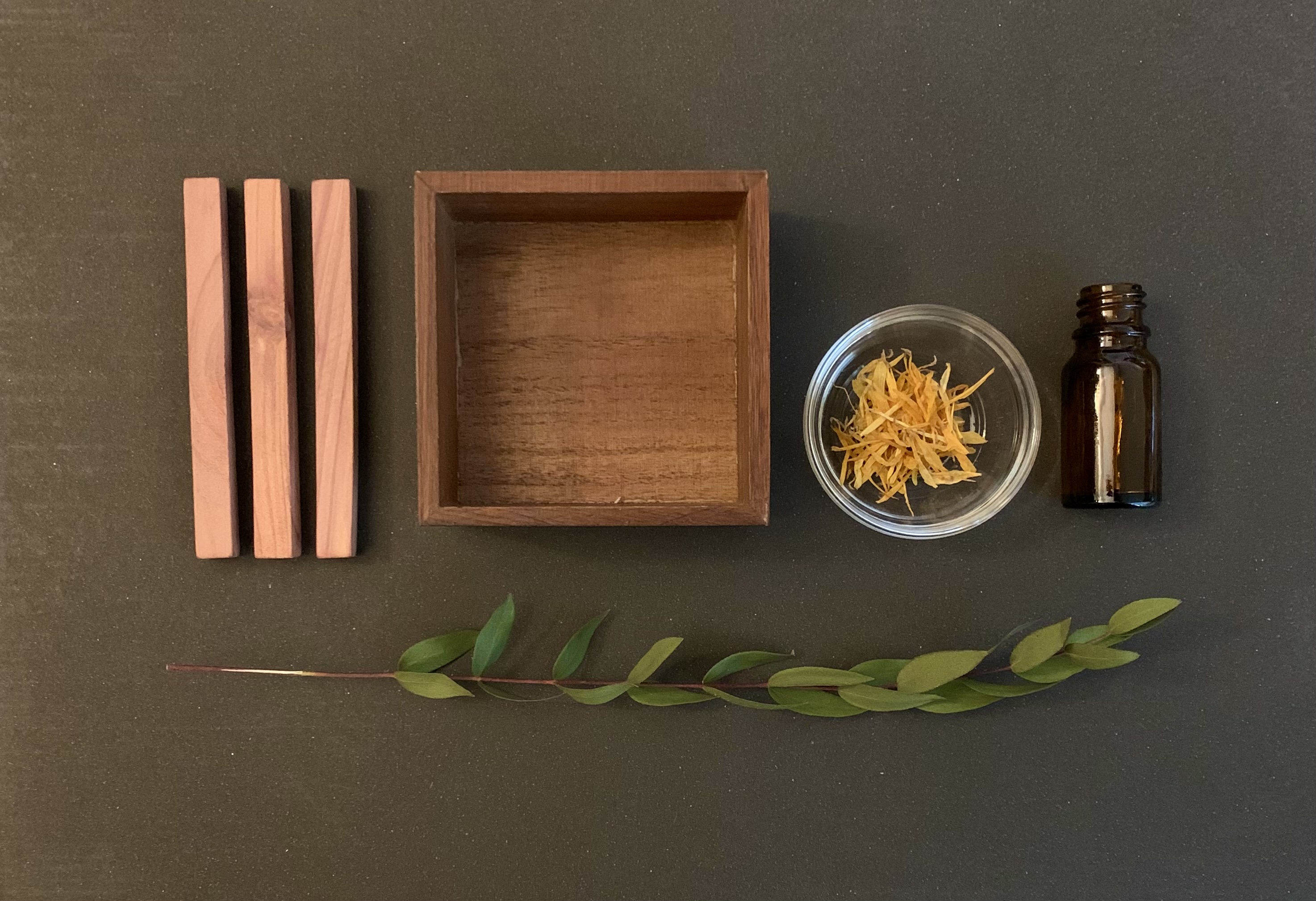 HPを開設しました！