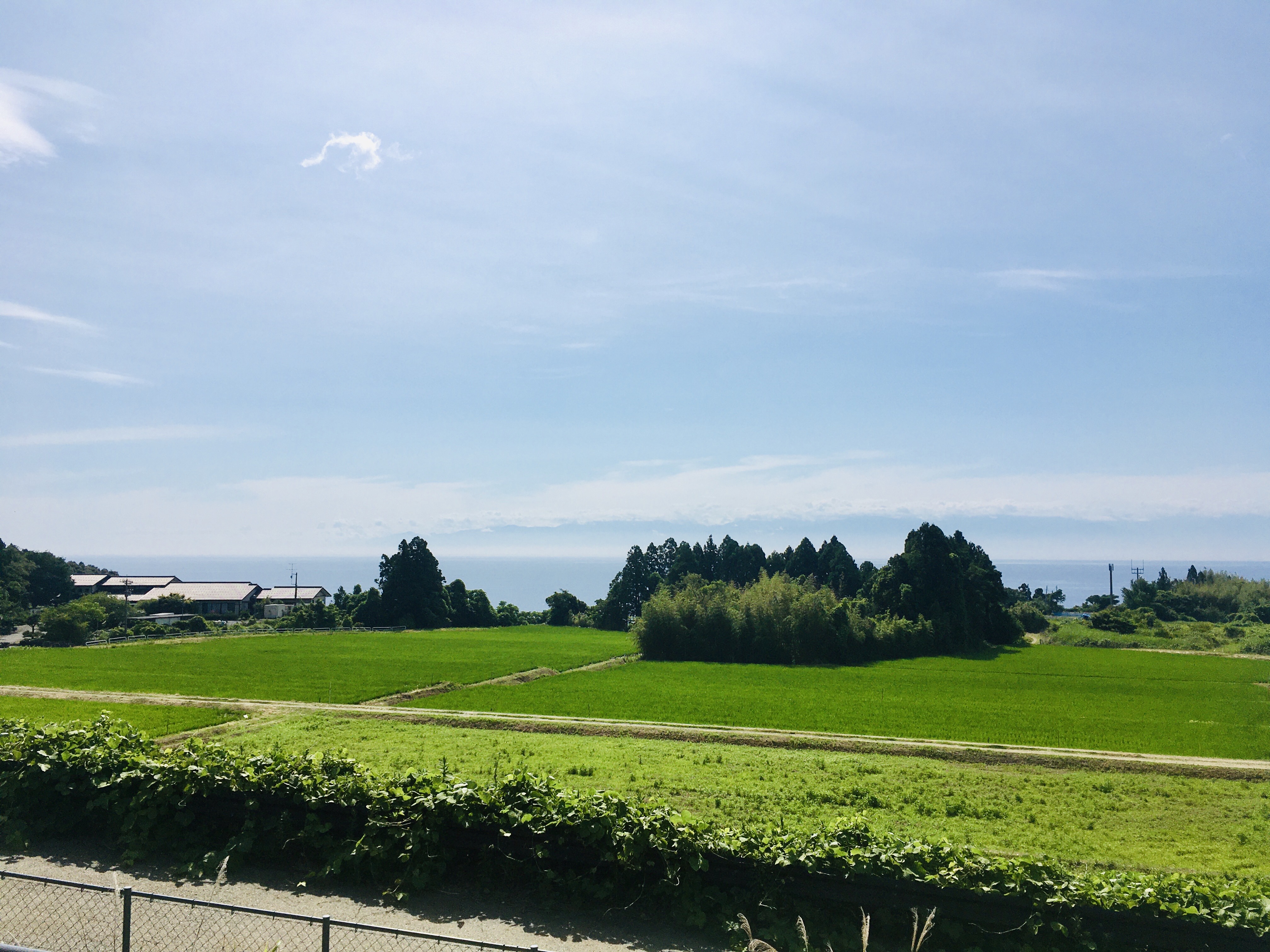 7月3日【富山のみの市】に出店します。