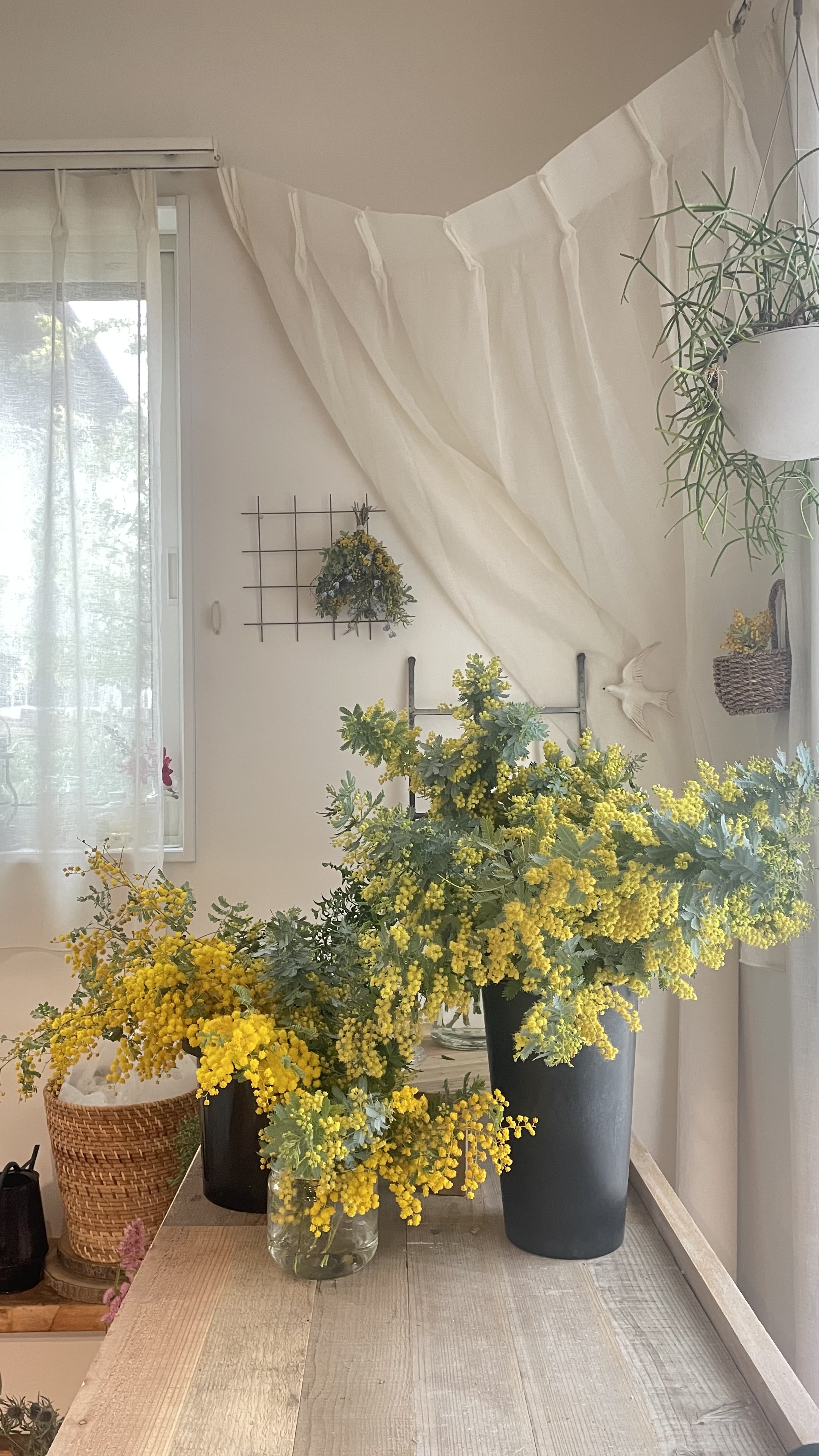 ミモザのお花で自由に！