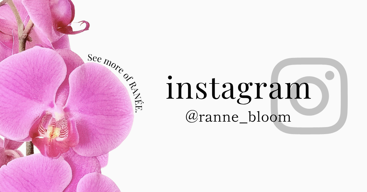 🕊 Instagram はじめました