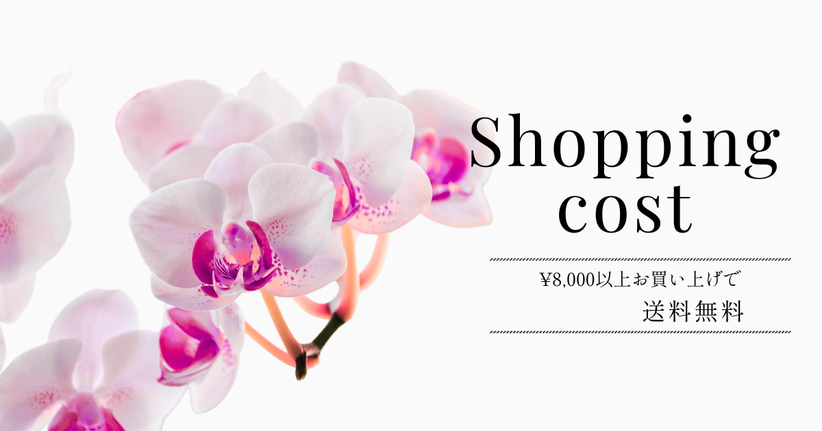 🕊 送料について