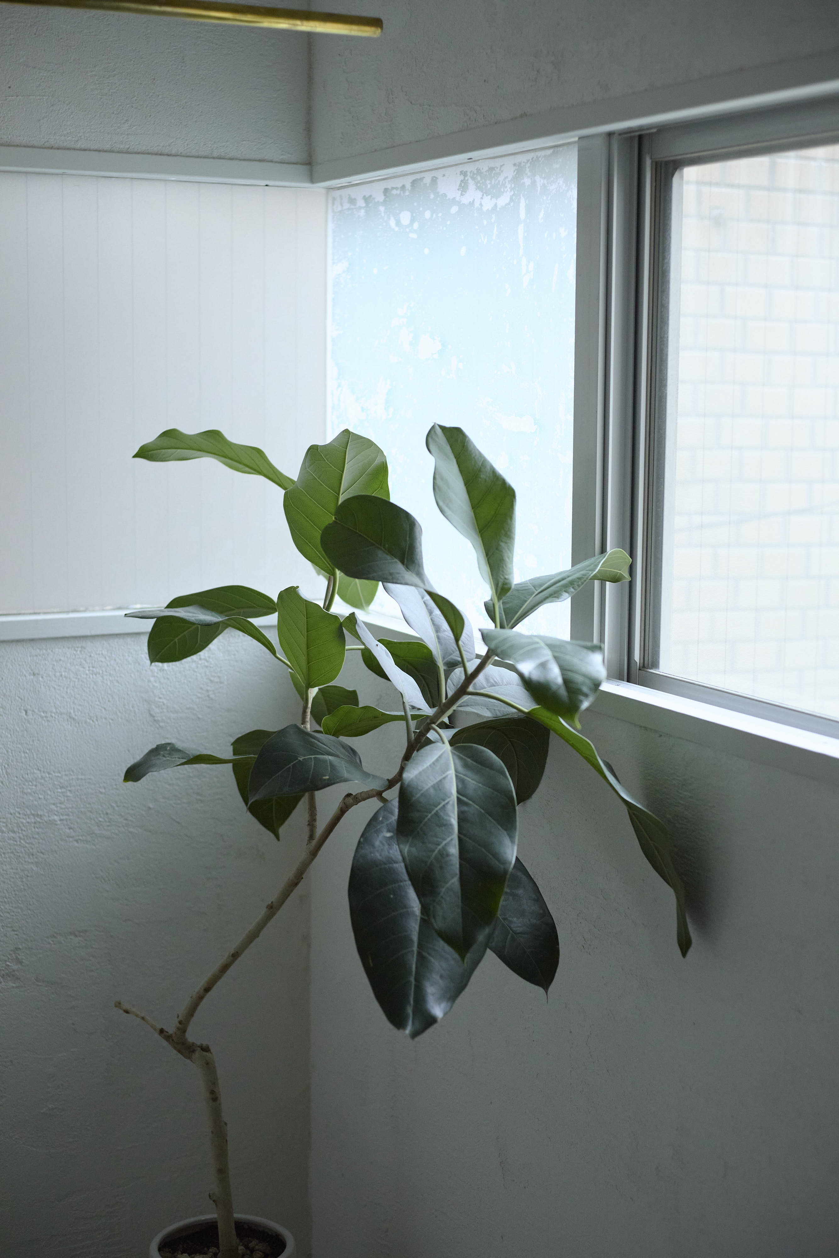 【年末年始休業のお知らせ】