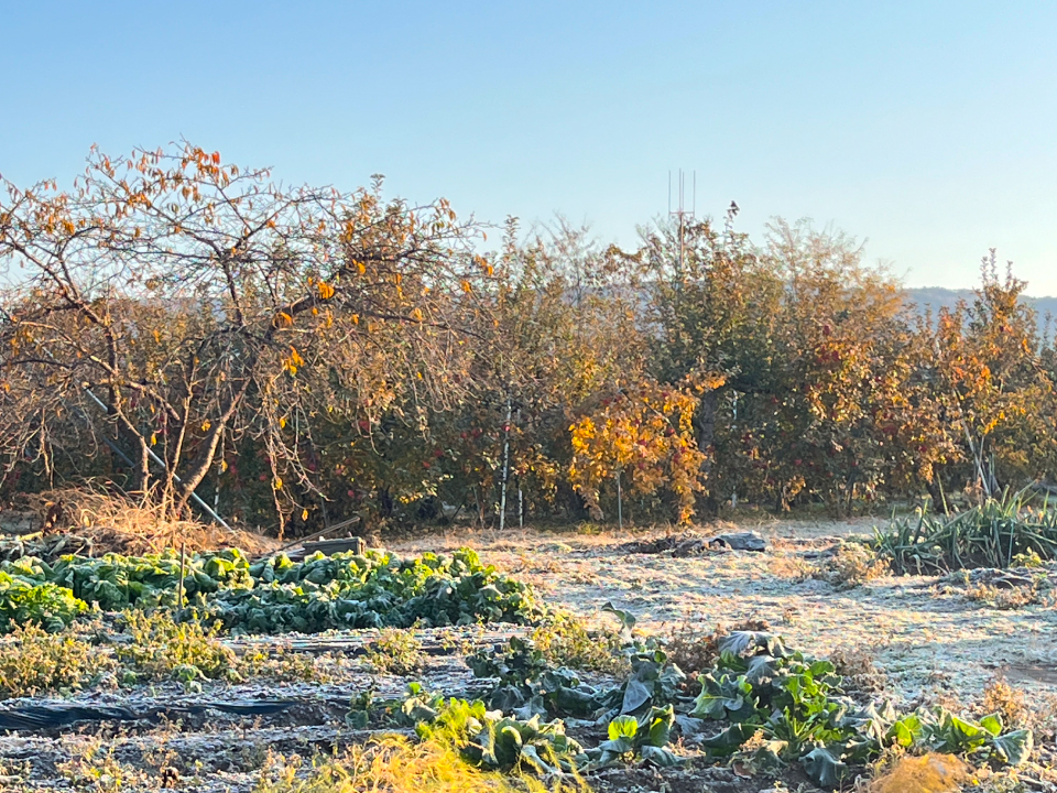 年末年始の配送について