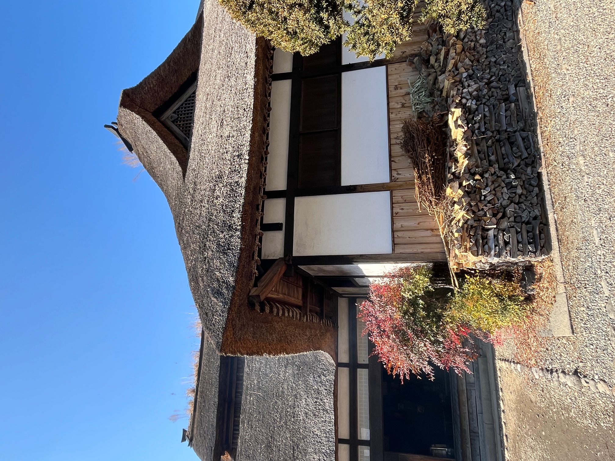 沼田らぼ便り　２月