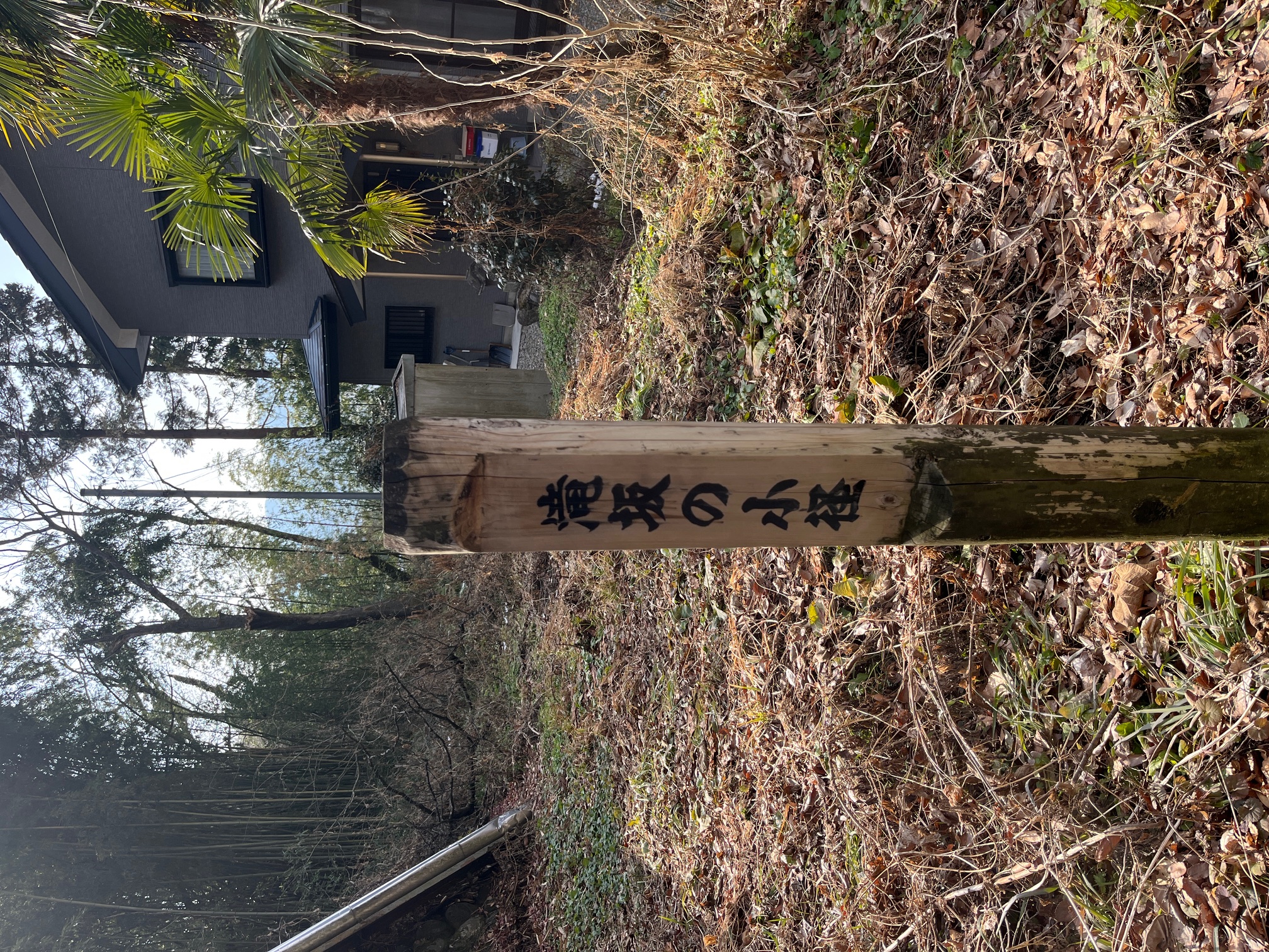 沼田らぼ便り　1月