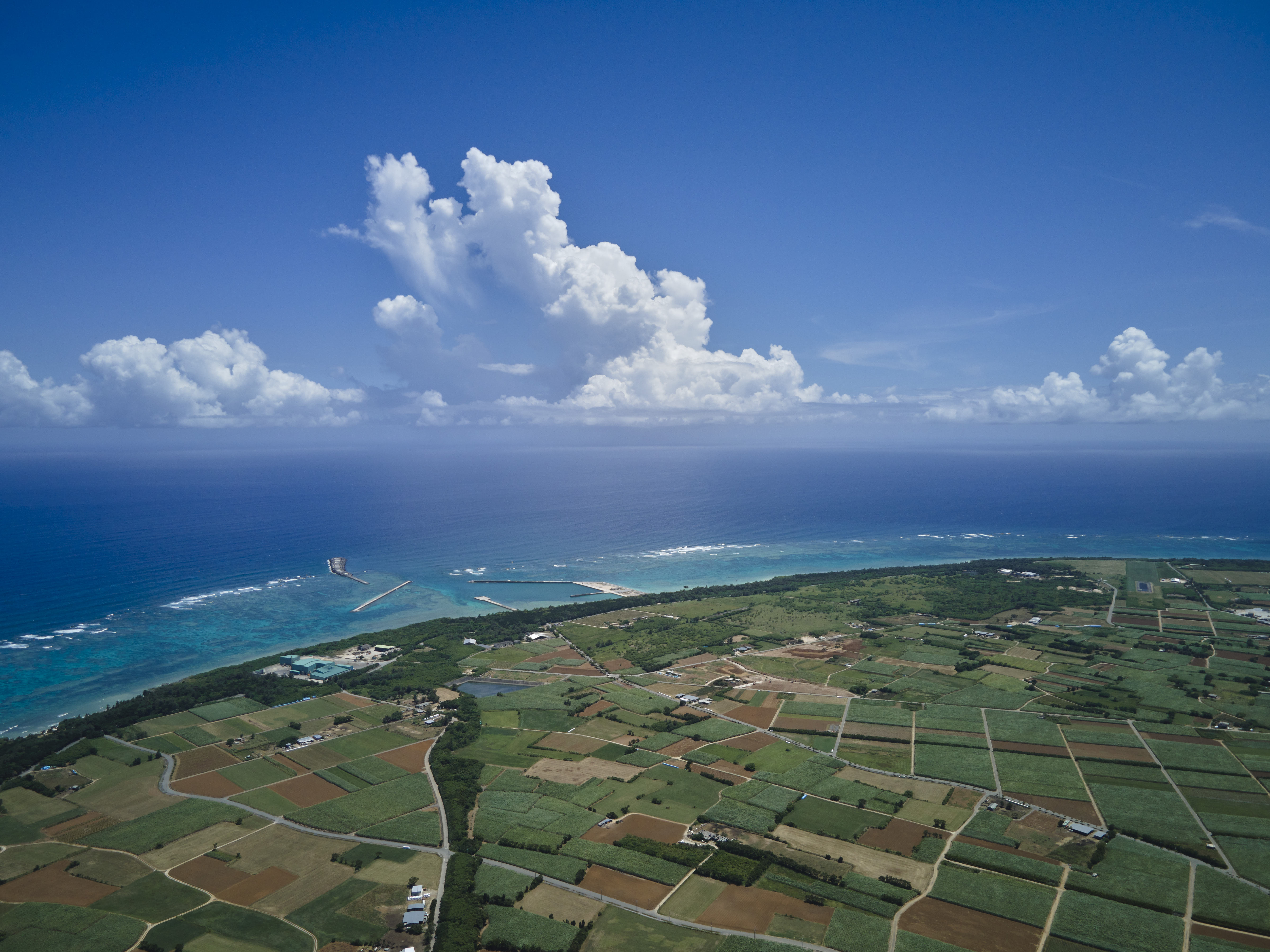 離島フェア2025 出店のお知らせ