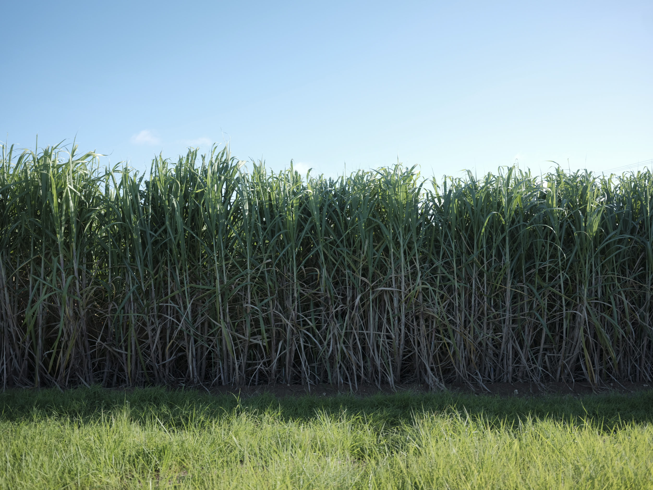 価格改定のお知らせ