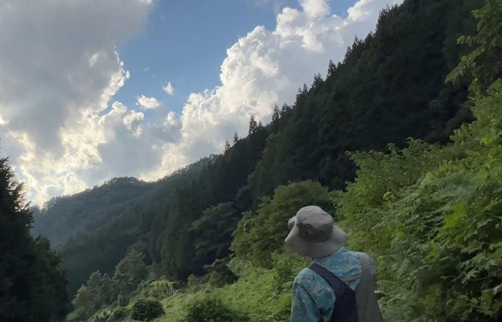 夏の丹波山村だより