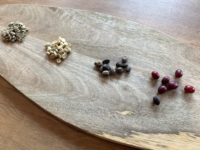 【blog】収穫されたコーヒーチェリーが向かうのは、、、