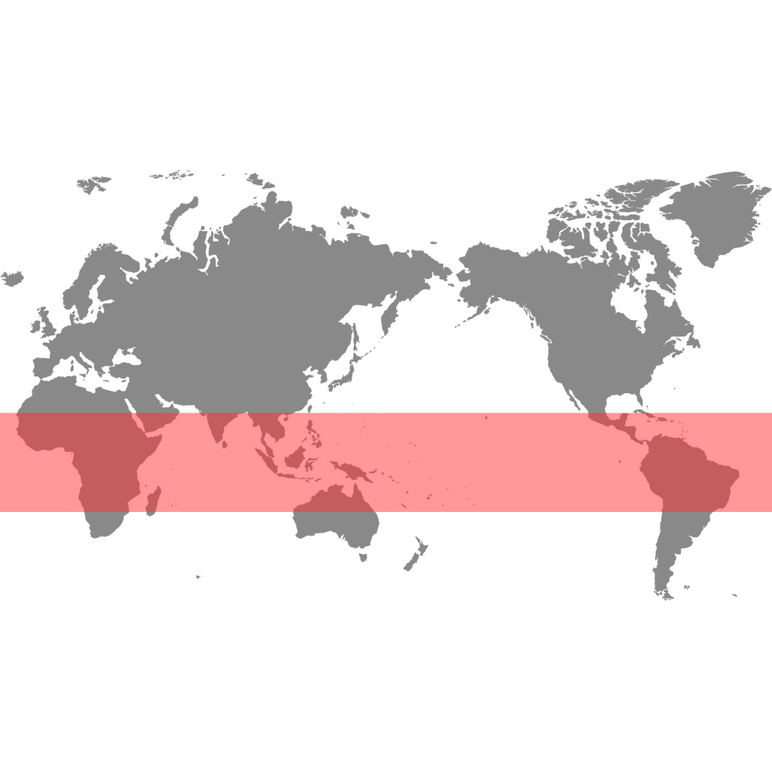 【blog】コーヒー植物学①