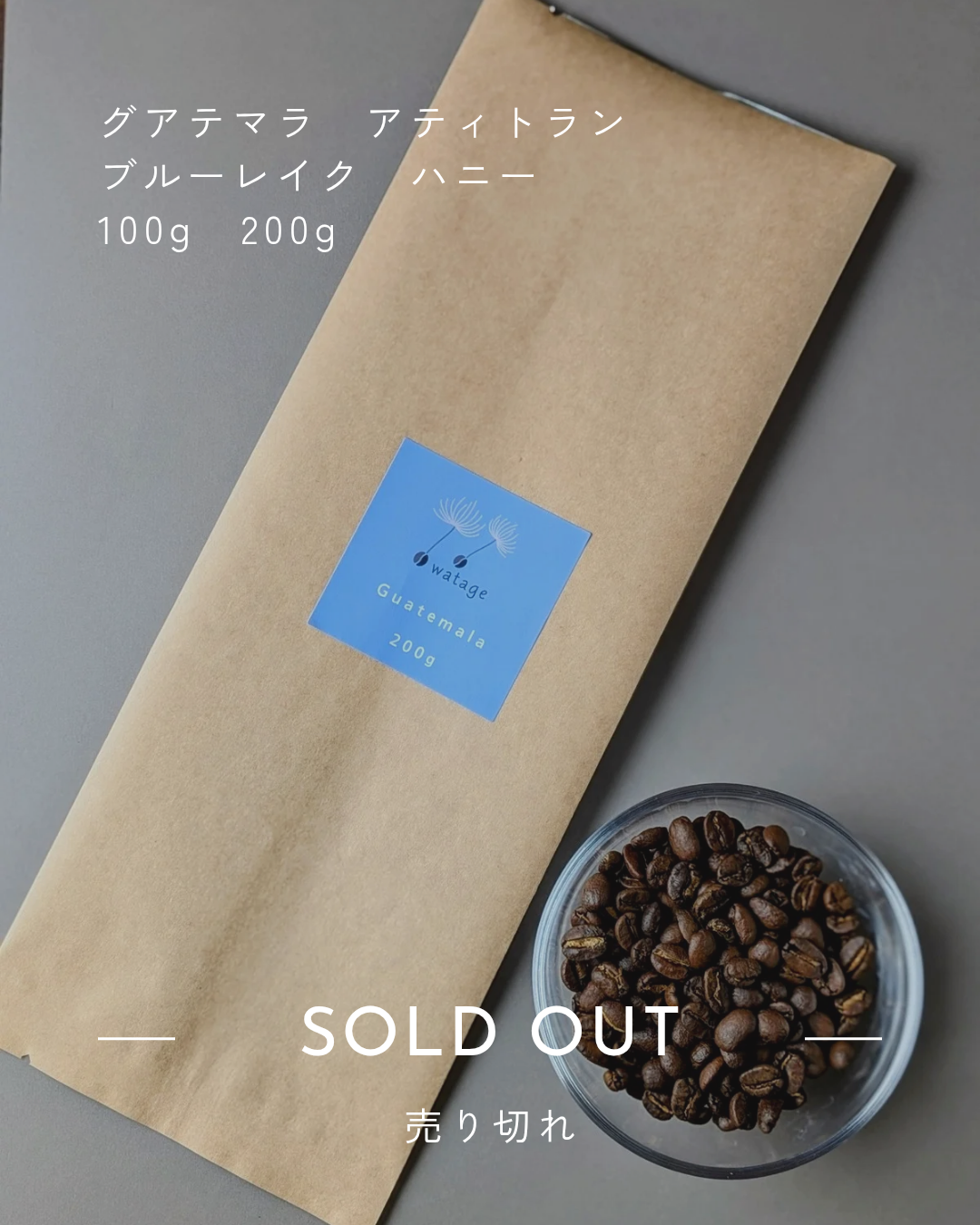 【SOLD OUT】グアテマラ