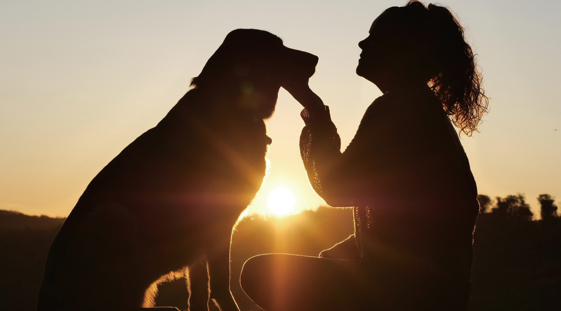ドッグフードとキブルの歴史：今、犬に与える食事を再考すべき理由