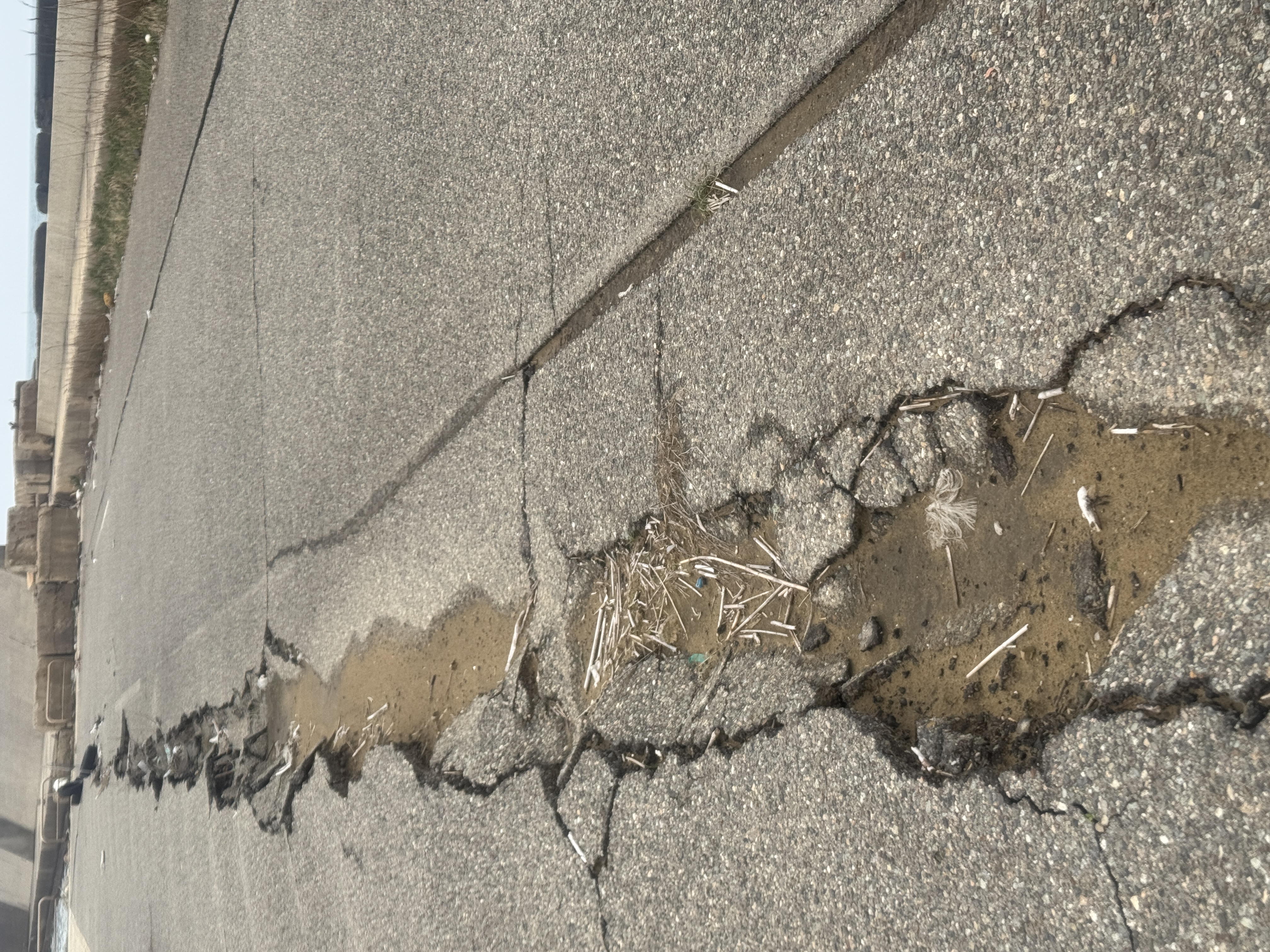 能登の震災後の今