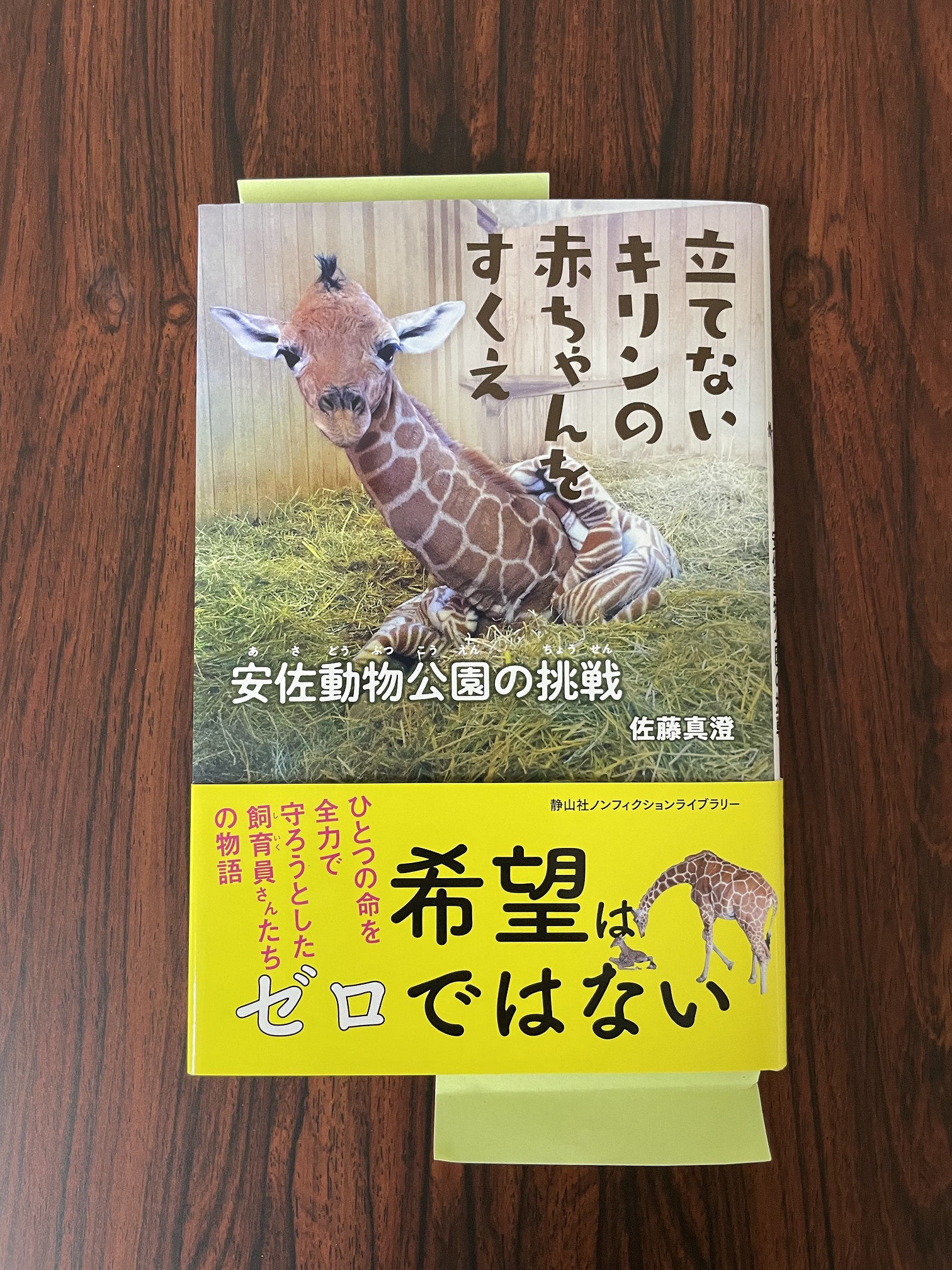 キリンの赤ちゃんと剪定ばさみ