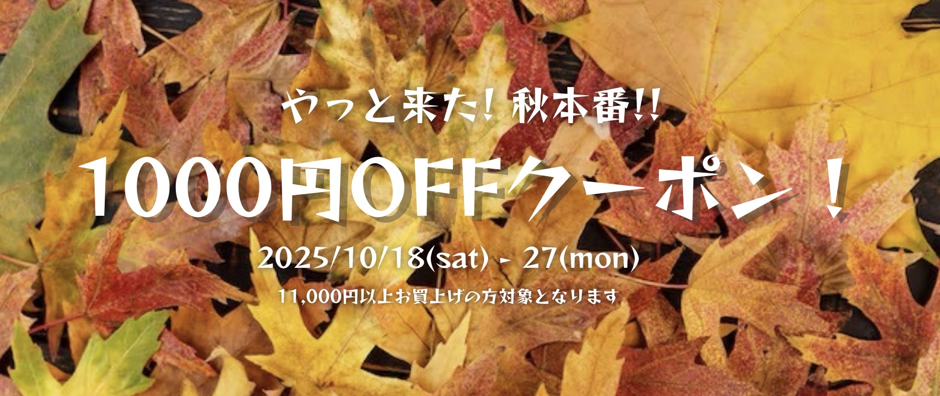 やっと来た! 秋本番 !! 『1000円OFFクーポン！』