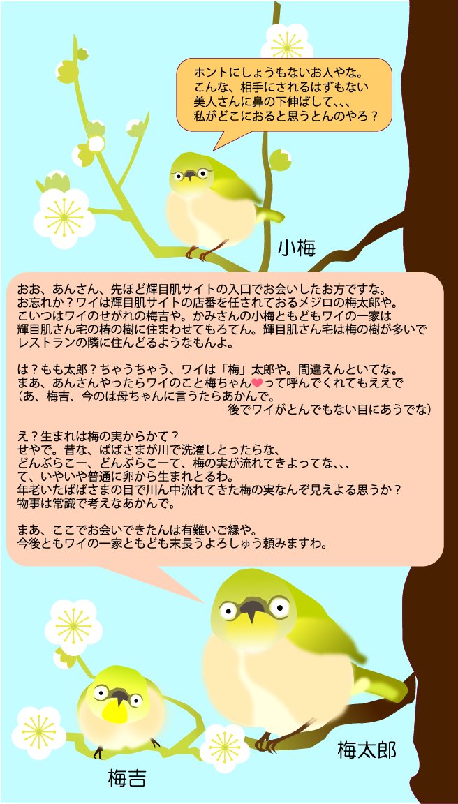 輝目肌めじろの梅太郎一家です。