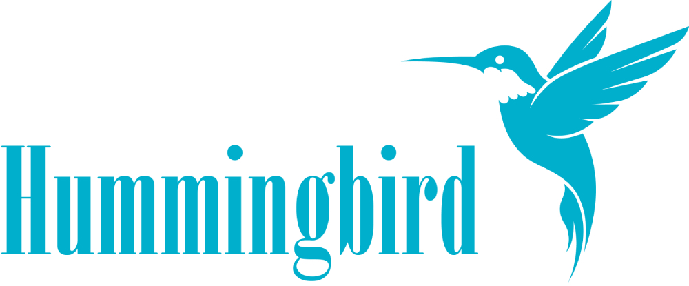 🕊️新作「Hummingbird」リリース！人気デザインにも新色追加🌈