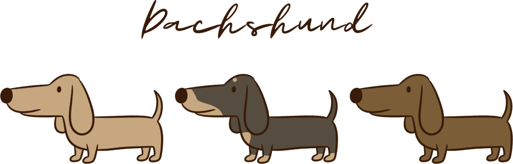 新作！【ダックスフンドの行進】Tシャツ＆パーカーが新登場！