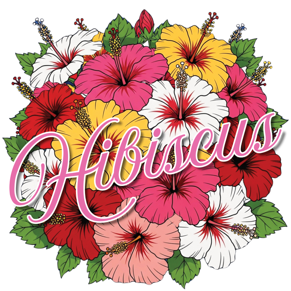🌺本日発売！夏気分高まる新作「Hibiscus」登場🌞