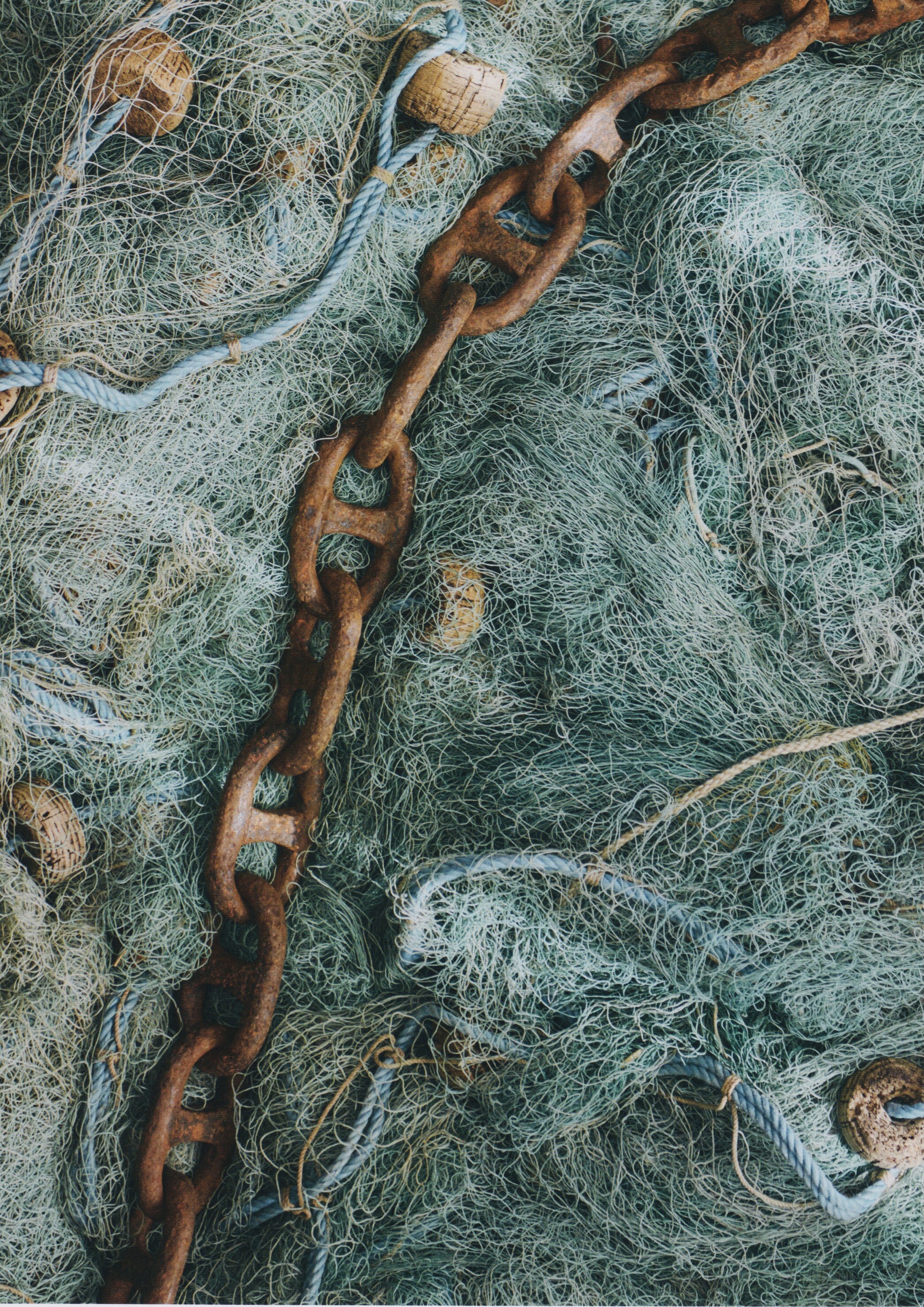 シェーヌダンクルという「形」が残り続ける理由