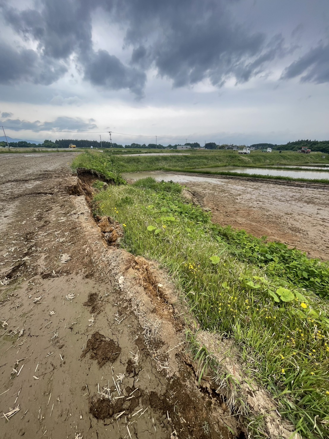 農業の“覚悟”