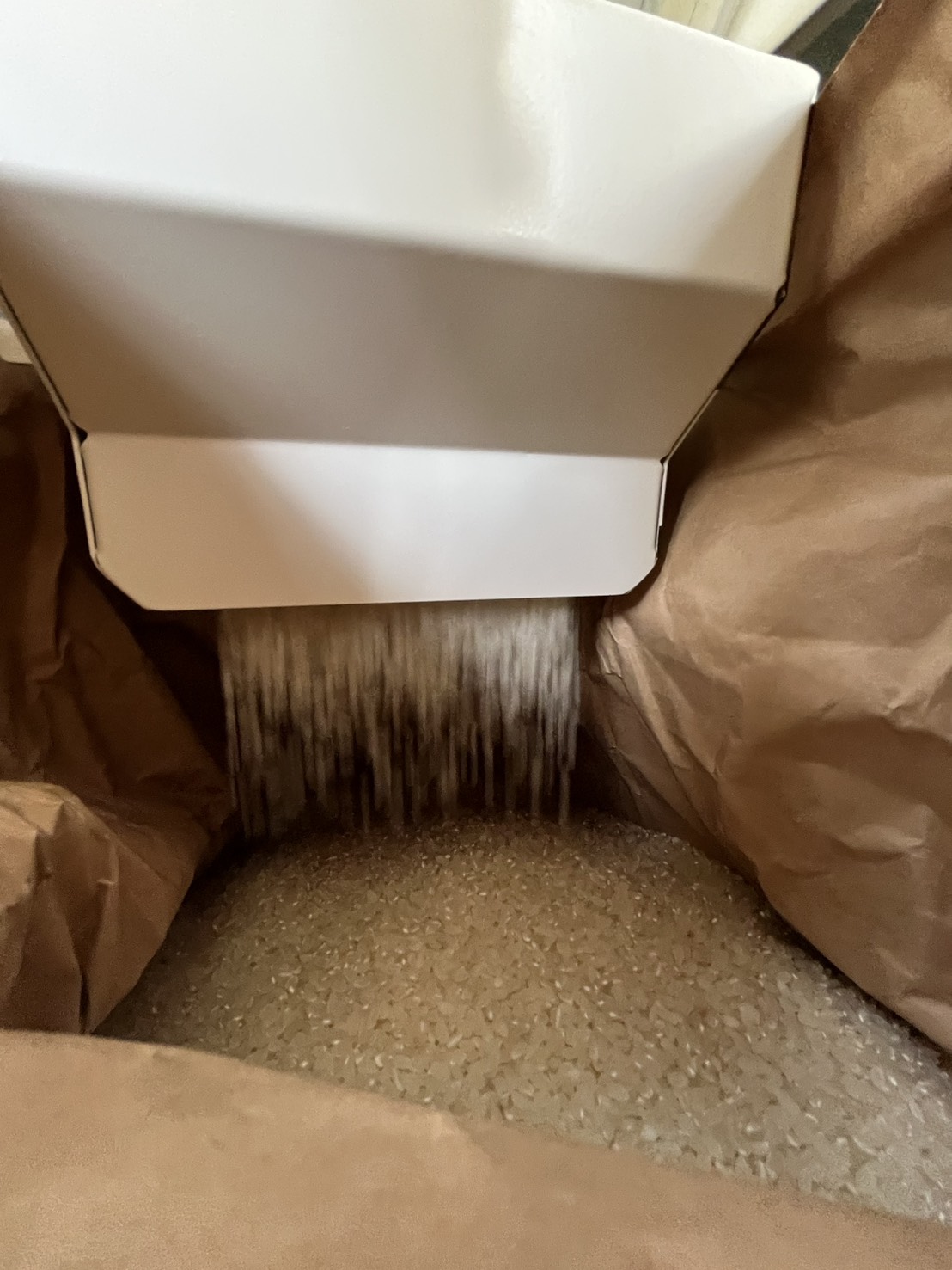 待ちに待った精米のタイミングがきたーー!!🌾✨