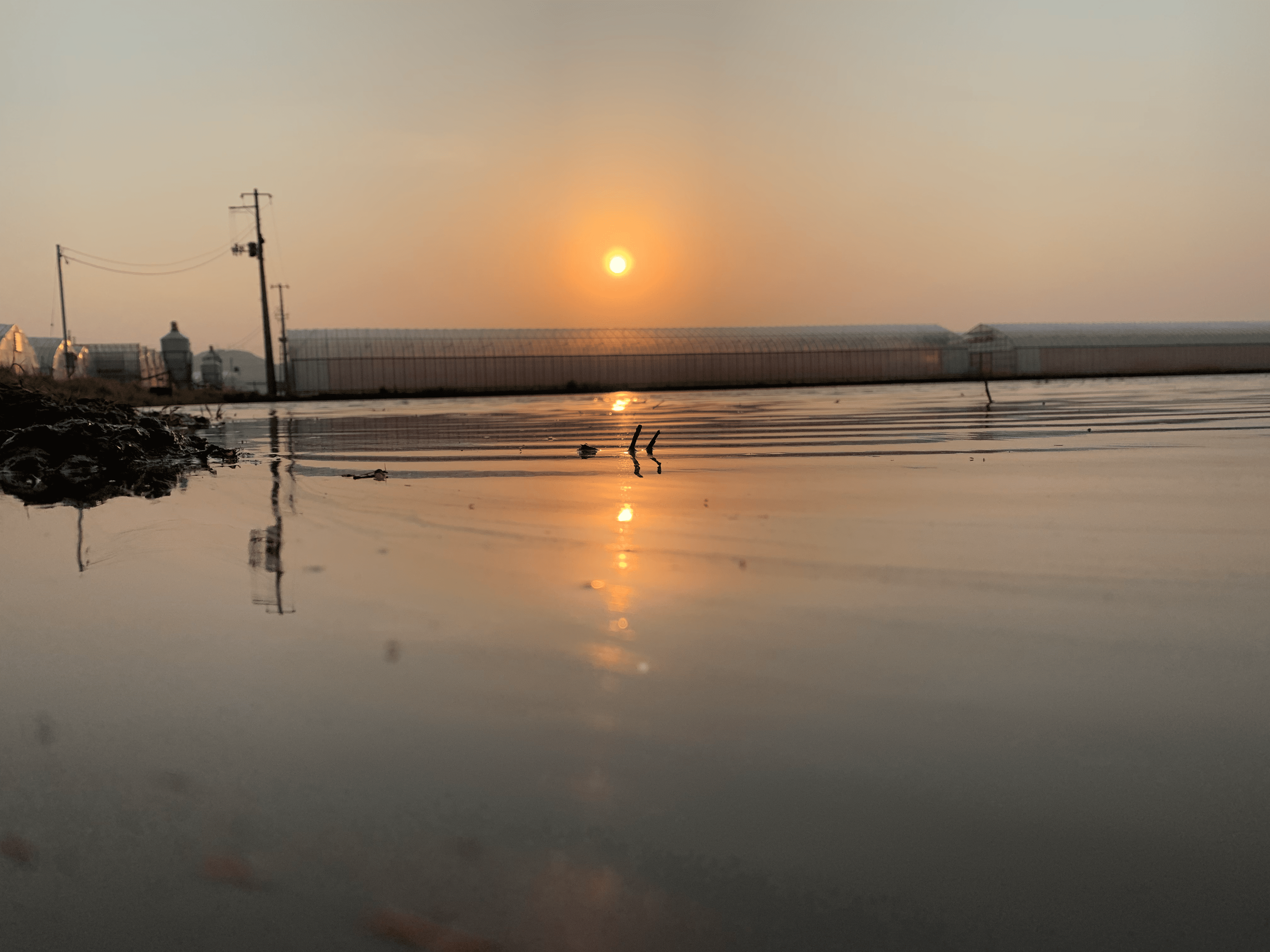 お客様からの声 Hさん(山形県)