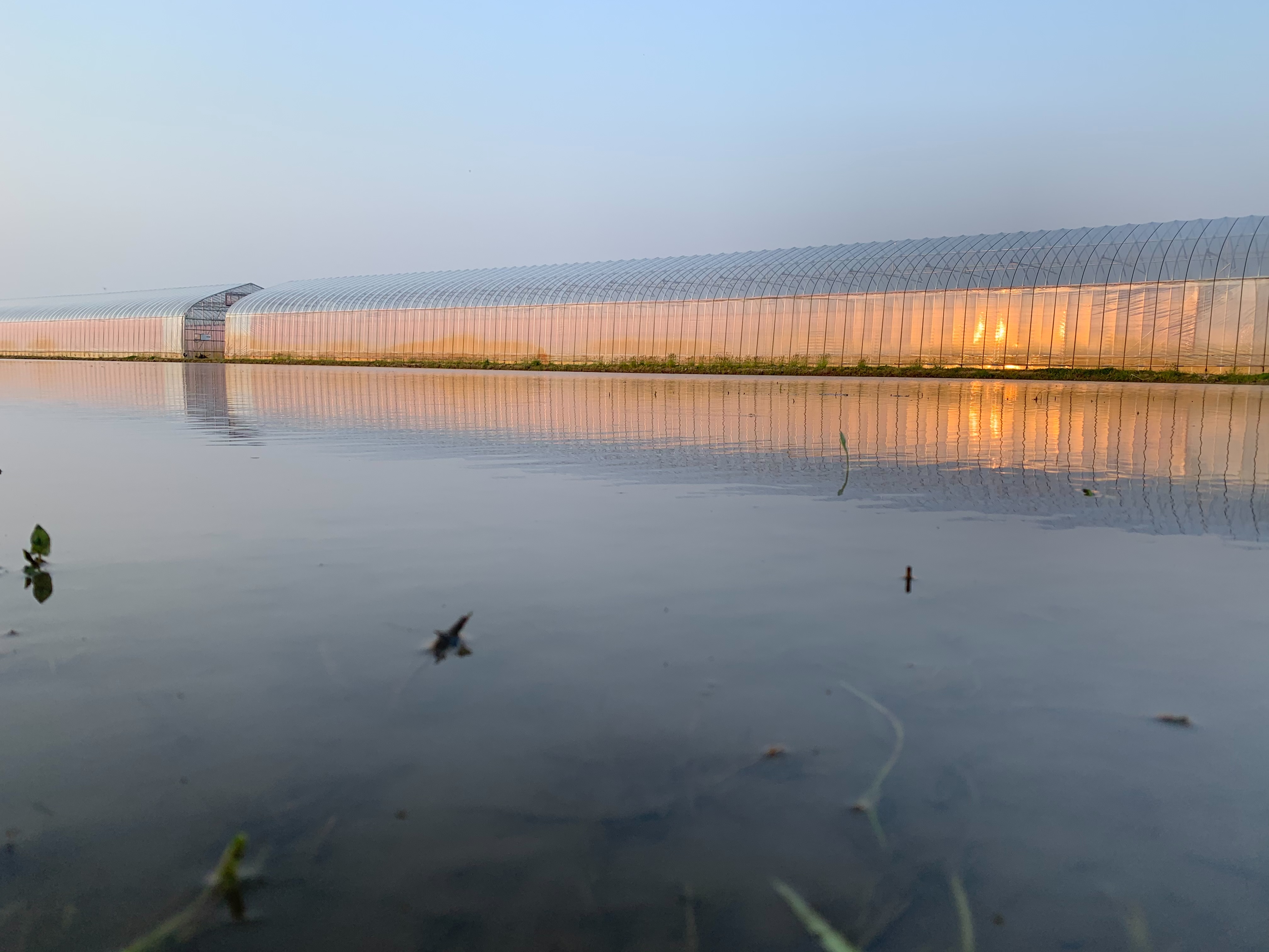 【記事共有】荘内日報ニュース「鶴岡ごはん日本一」決勝大会