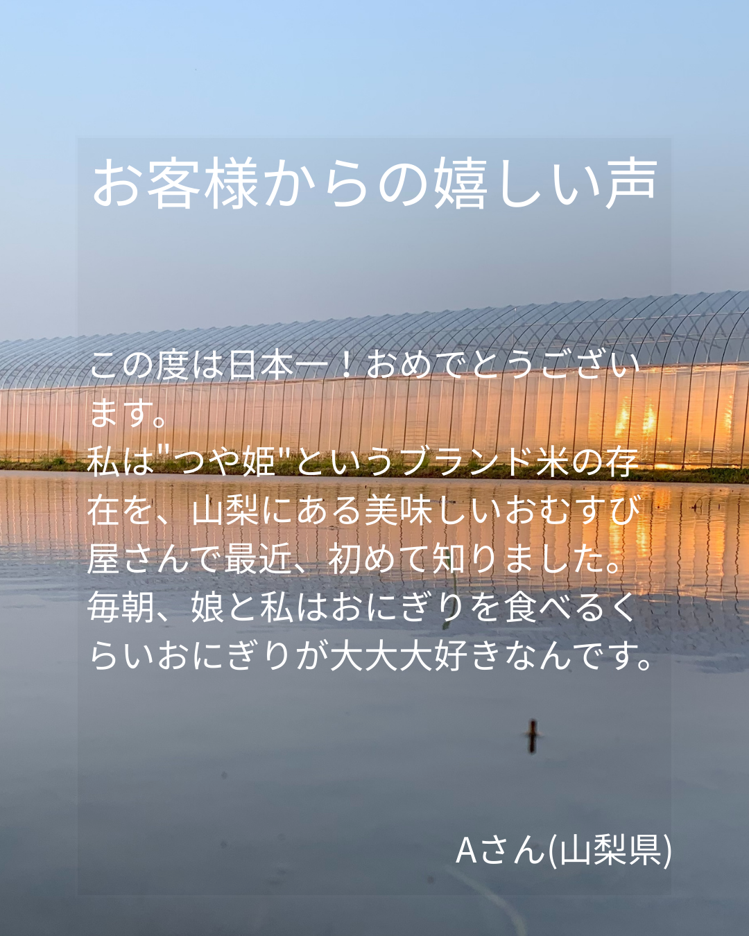 お客様からの嬉しい声