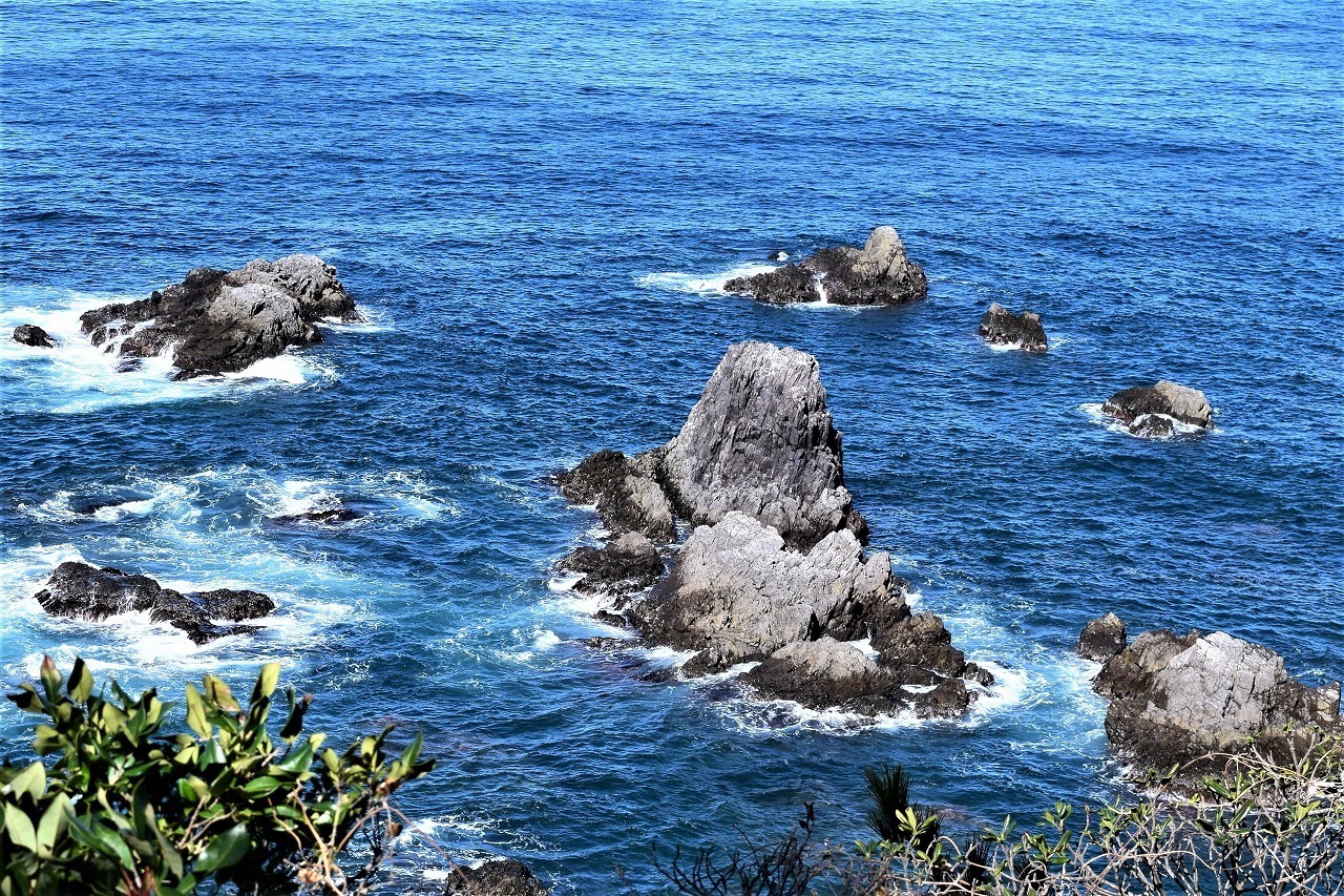 青海島岩牡蠣「せむら」名前の由来