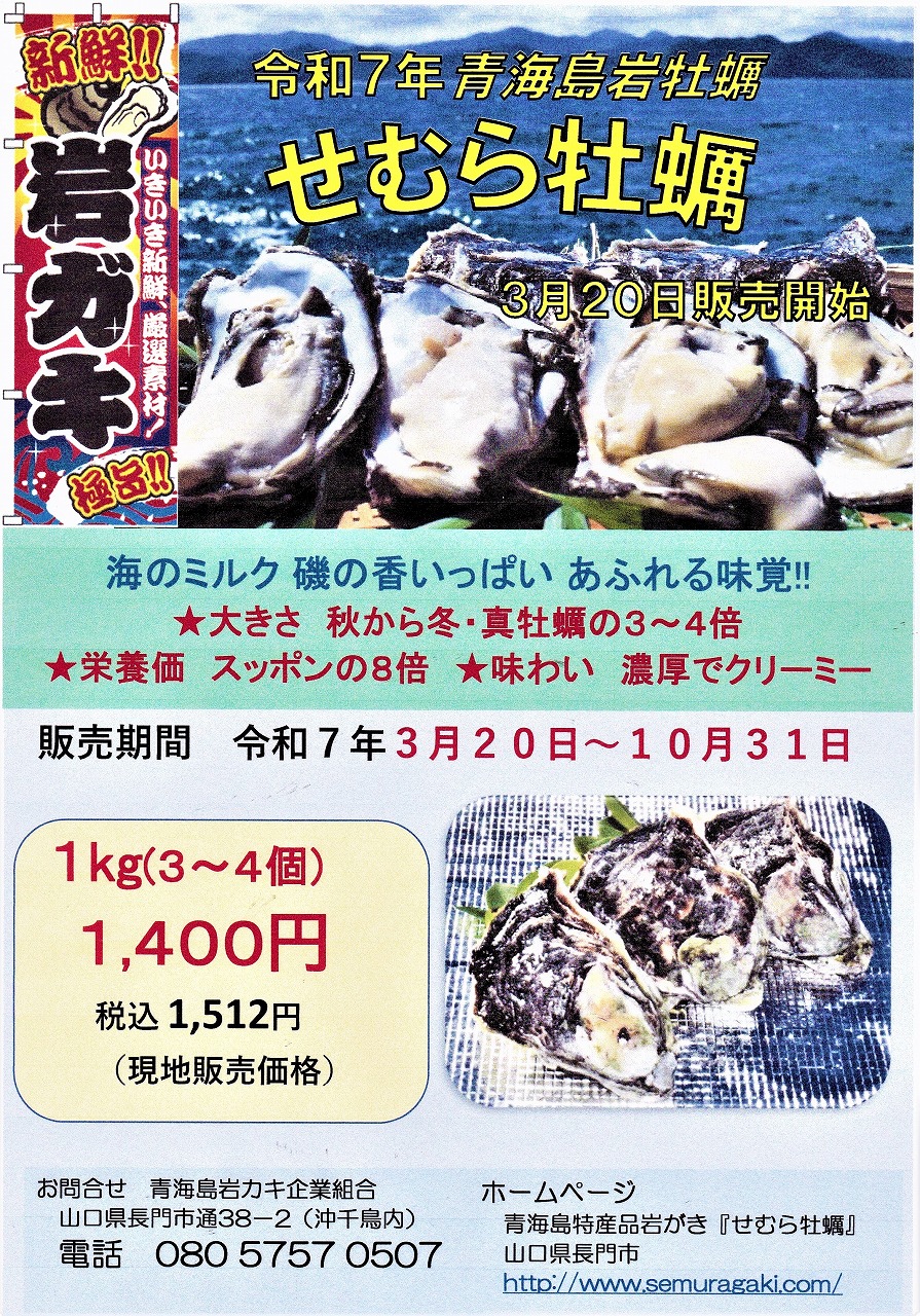 青海島岩牡蠣「せむら」令和7年3月20日より販売開始