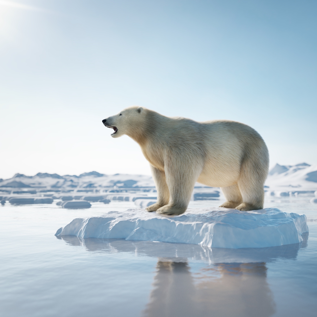 ― 氷が消える日、消える命 ―ホッキョクグマの物語