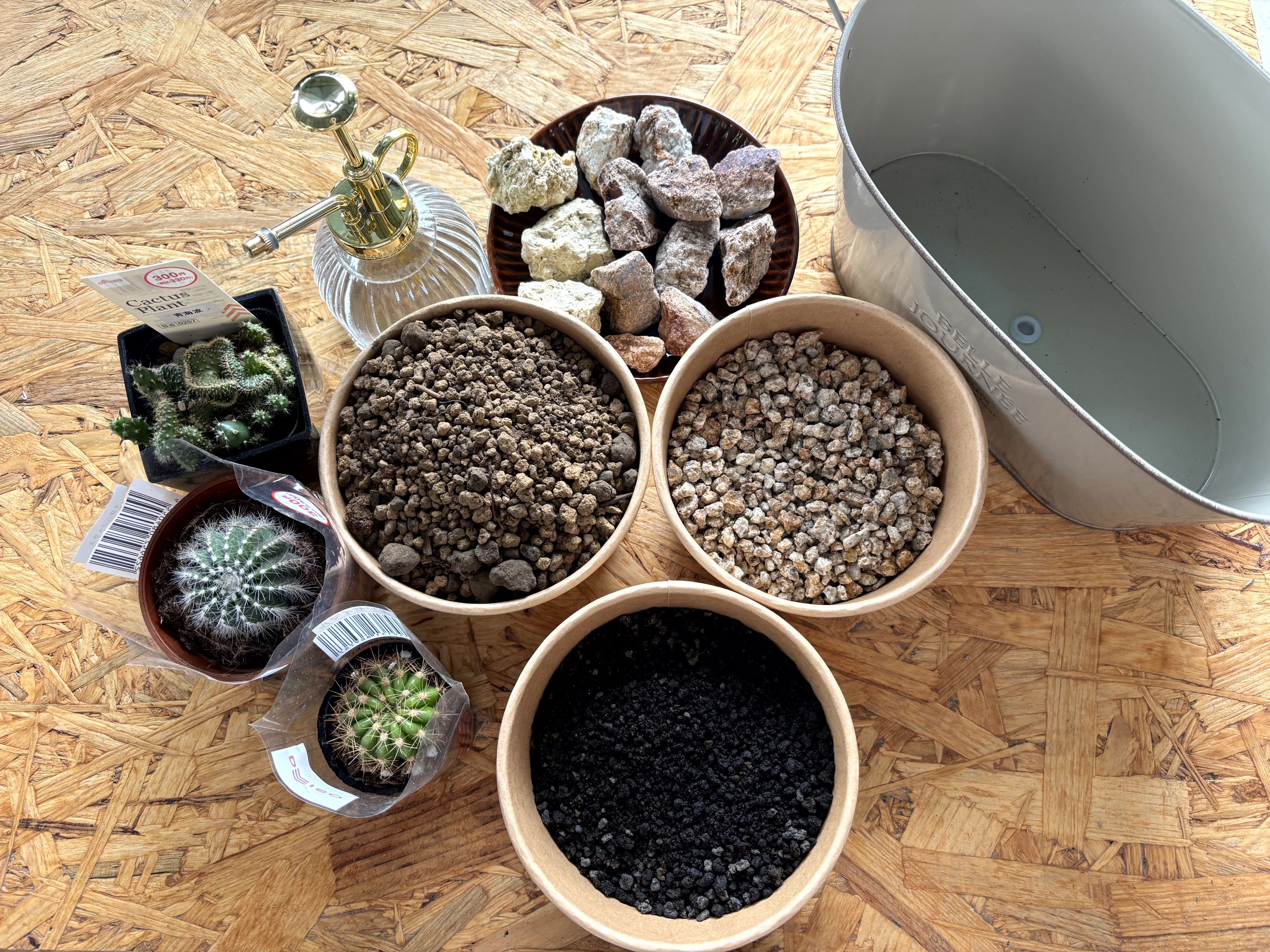 【100均材料と石で簡単におうち体験！】インテリアにもおすすめミニドライガーデンのつくり方