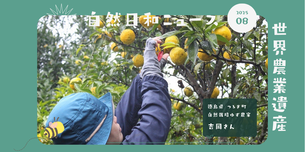 【未来へつなぐ、いのちの柚子（18年間無農薬）】