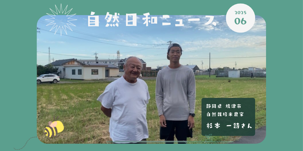 32年間自然栽培でお米をつくる、杉本さん