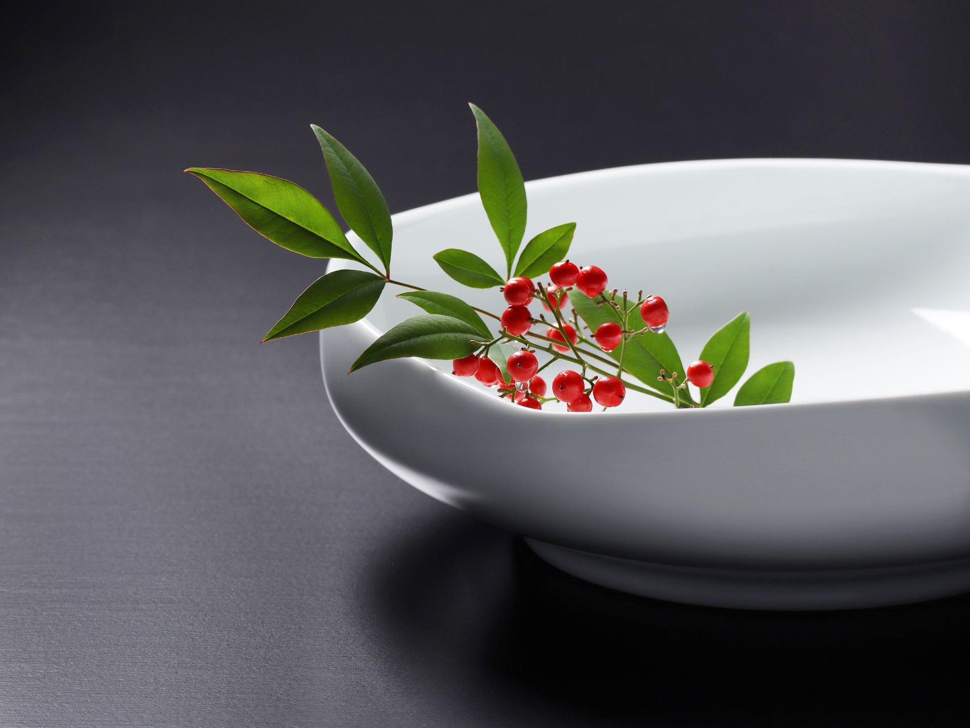 新春のお慶びを申し上げます。