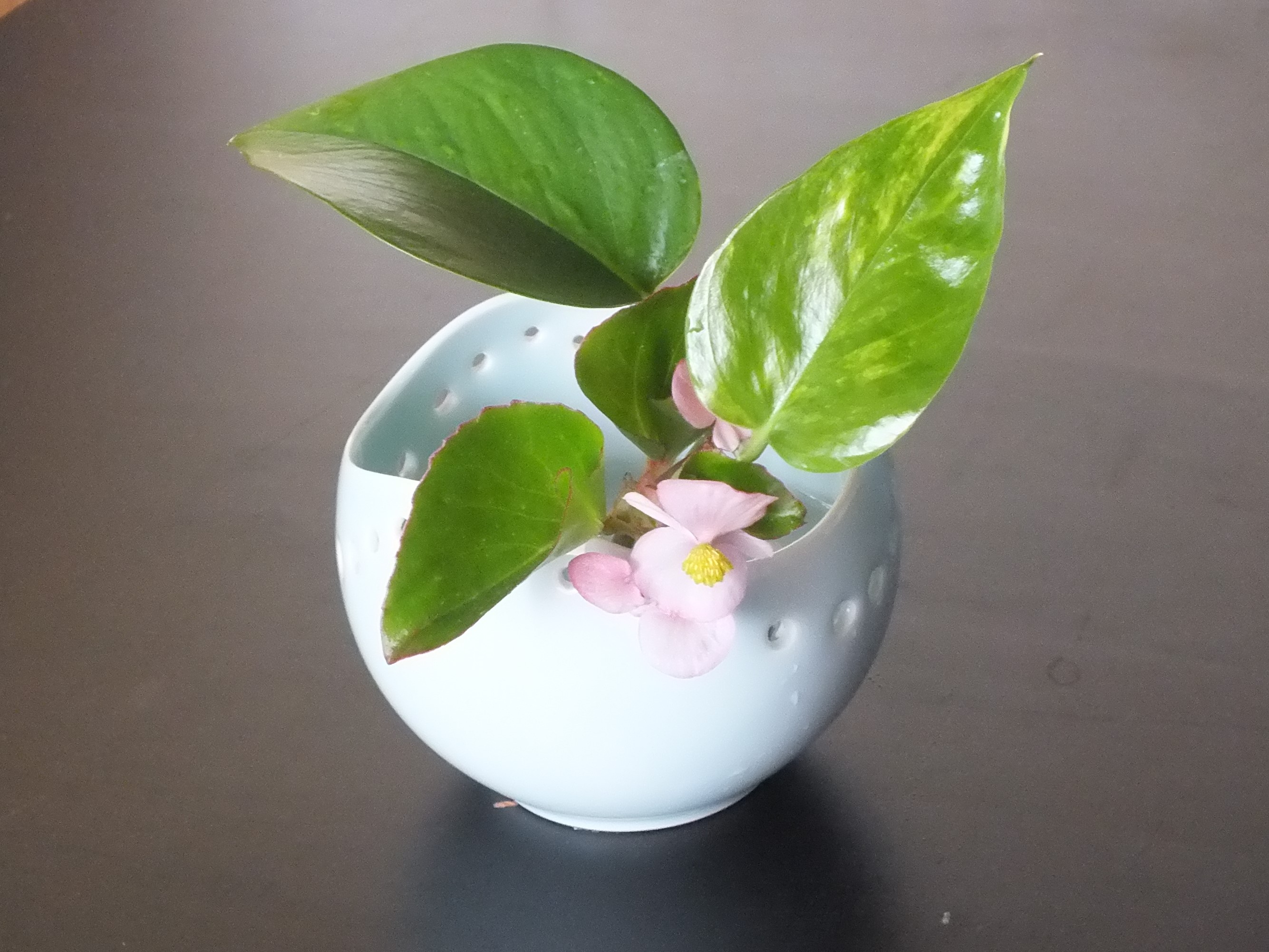ご来店ありがとうございました