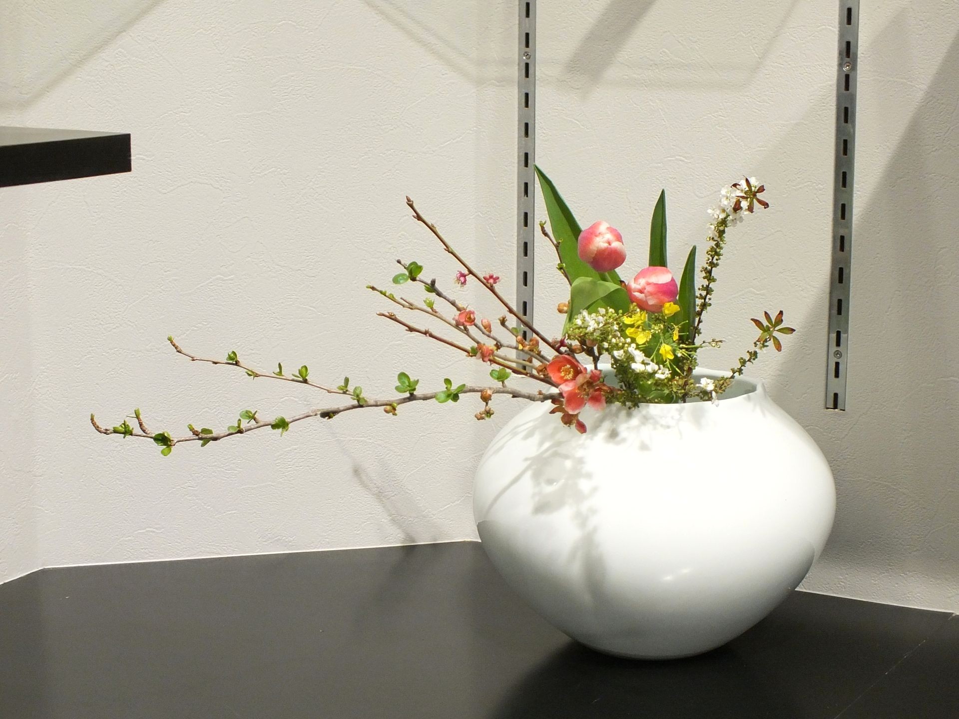 N先生ご夫妻との再会！