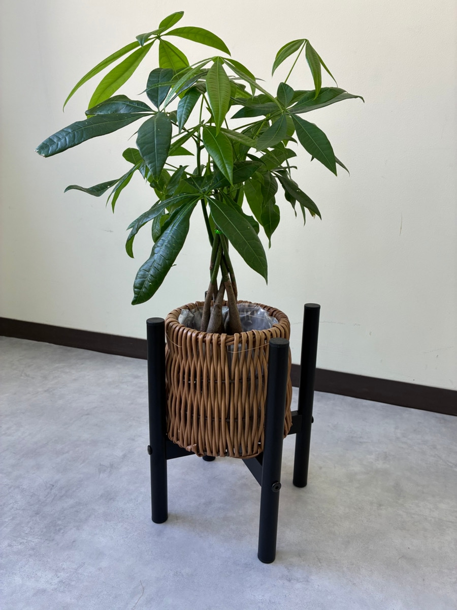 🎁BLACK FRIDAY🎁 対象商品Part.2