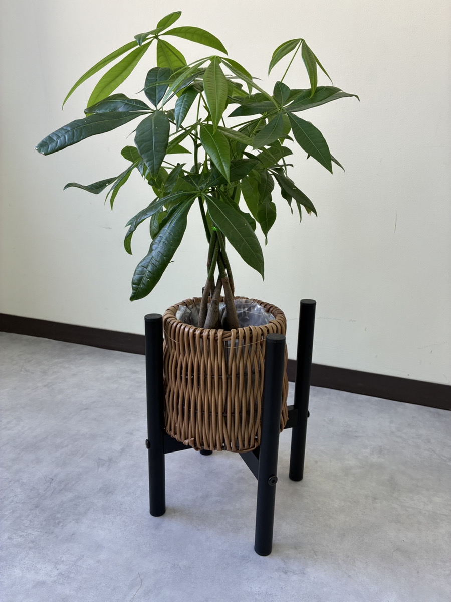 【フラワースタンド】一気にお部屋がお店風に✨